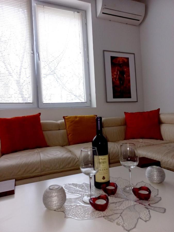 בלגרד Apartment Alex מראה חיצוני תמונה