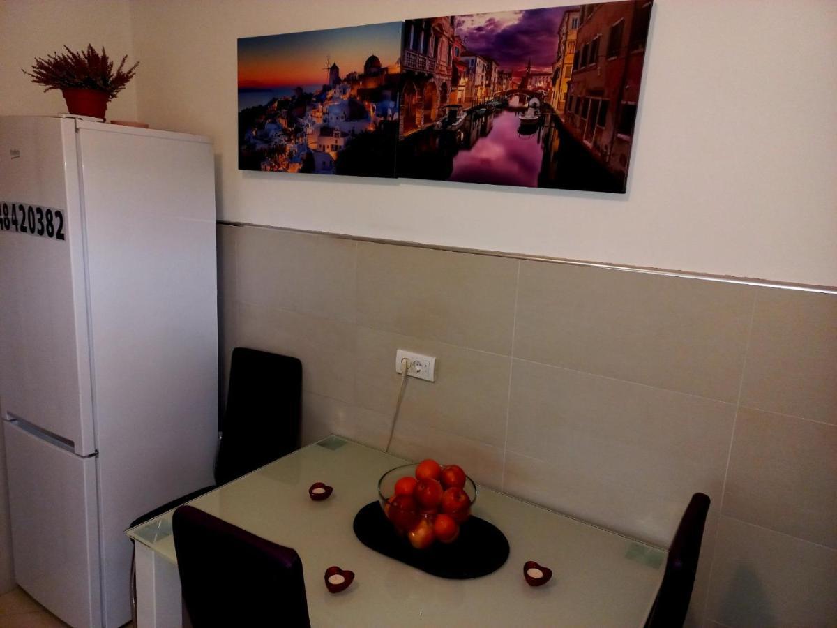 בלגרד Apartment Alex מראה חיצוני תמונה